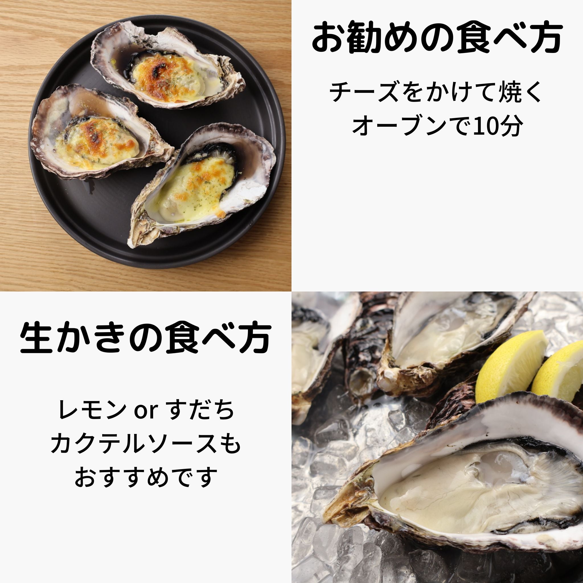 徳島県鳴門市　渦潮チャンピオン　Oyster Professional 牡蠣若手の会