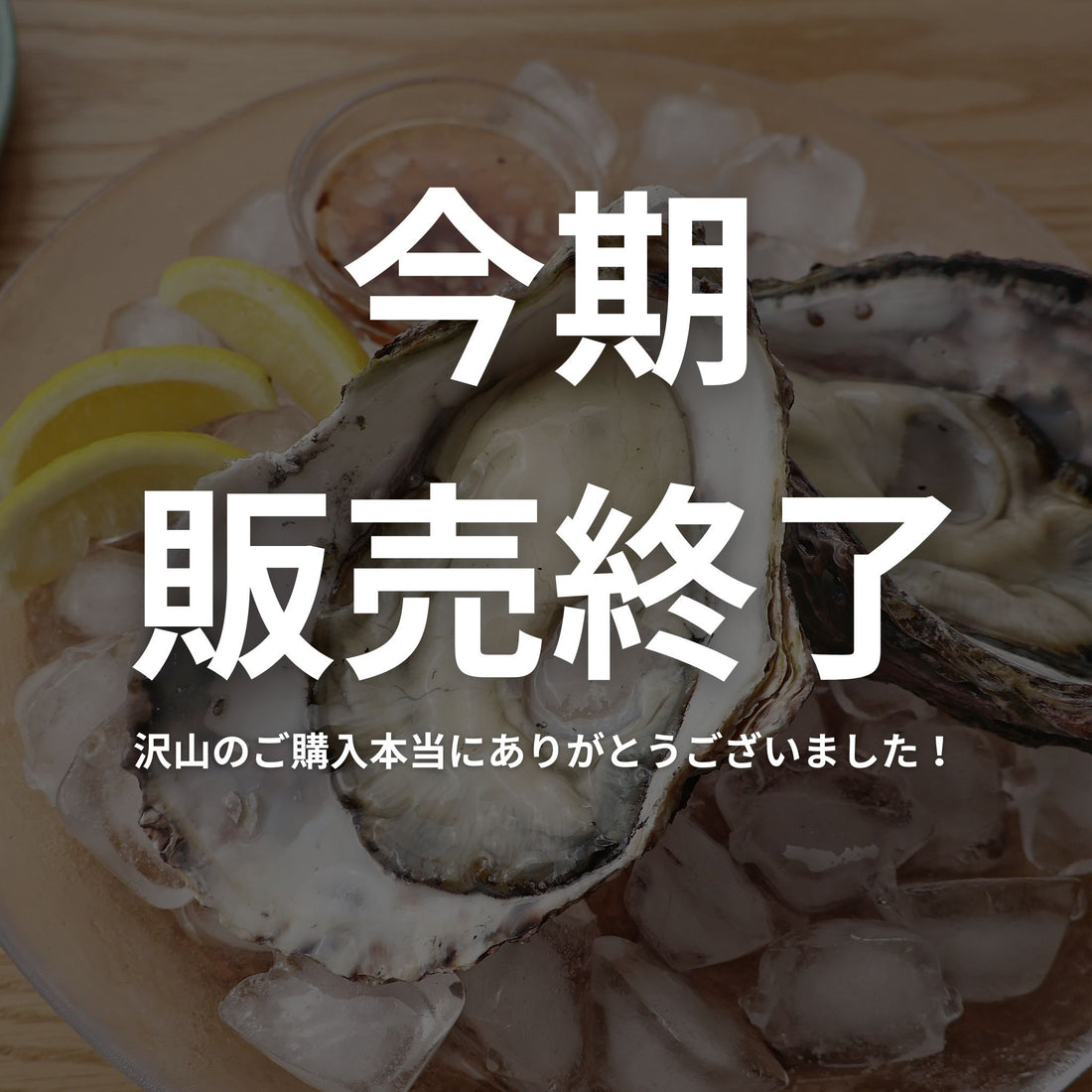 牡蠣若手の会　徳島県鳴門市渦潮チャンピオン