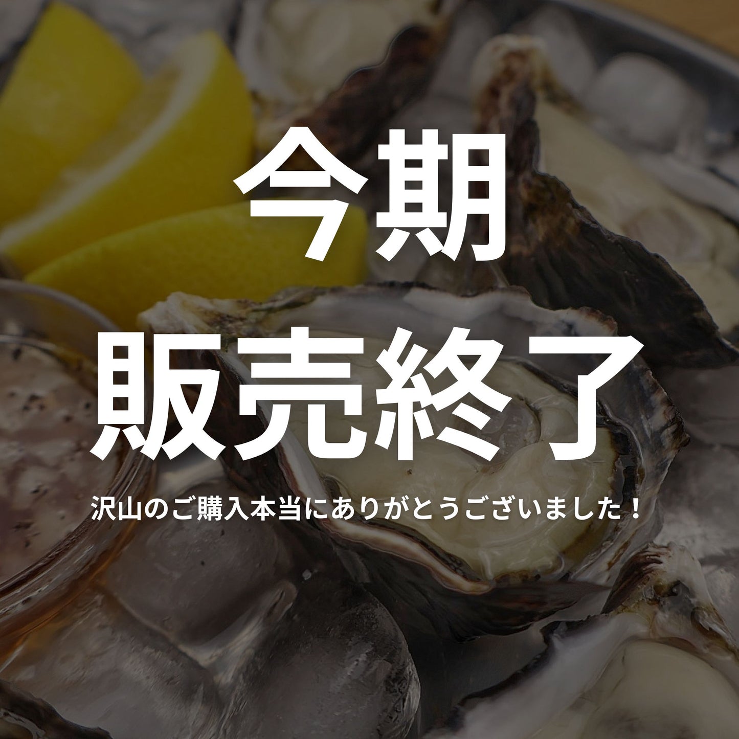 Huge response! "Hamidori" brand oysters, delicious even in summer, delivered directly from Aioi City, Hyogo Prefecture (raw oysters with shells, can be eaten raw)