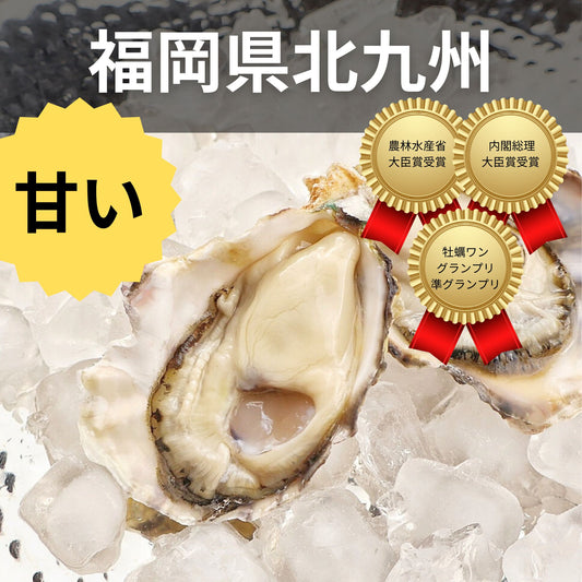 豊前海一粒かき　清水水産　福岡県北九州　牡蠣の王国