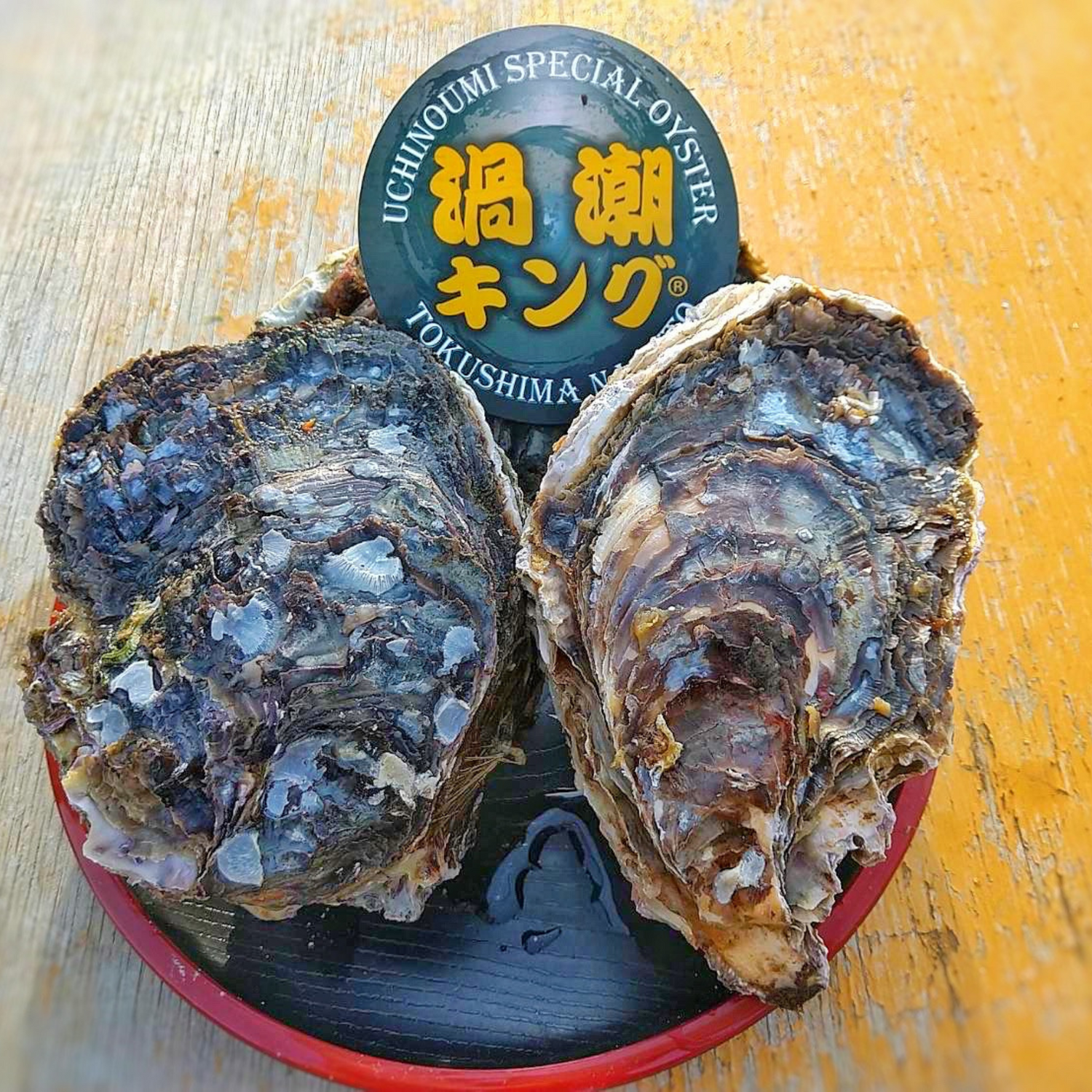 産地直送　徳島県鳴門市ブランド牡蠣　渦潮チャンピオン　生牡蠣　生食用　殻付き